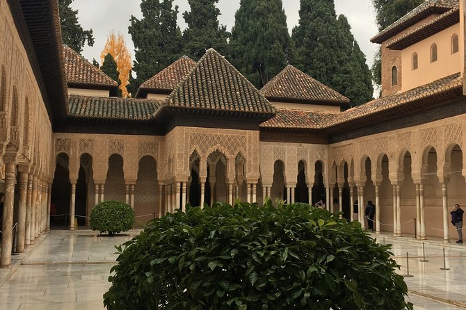 Guided Tour of Le Alhambra and Albayzin  - Malaga - Meeting and Pickup