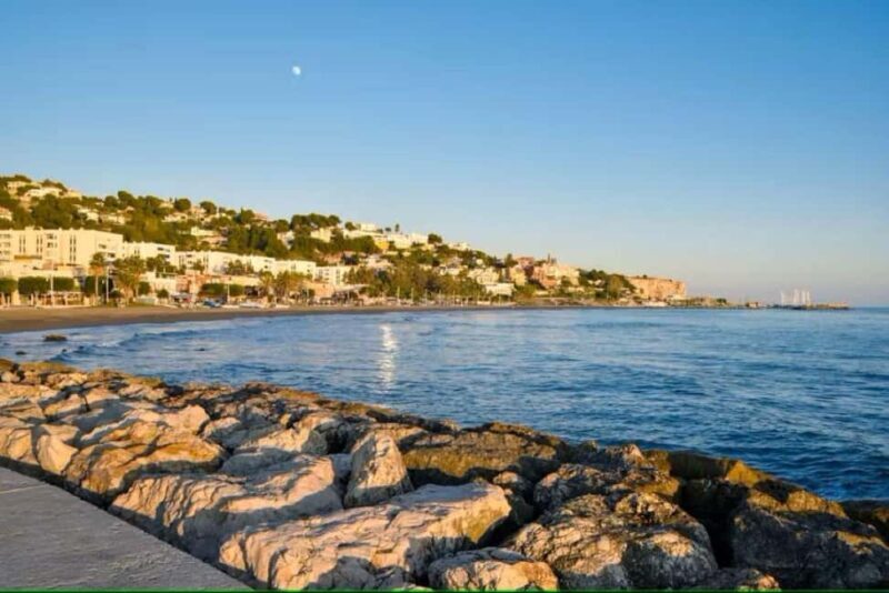 Guided tour of Malaga fishing scene with cooking workshop - Introduction