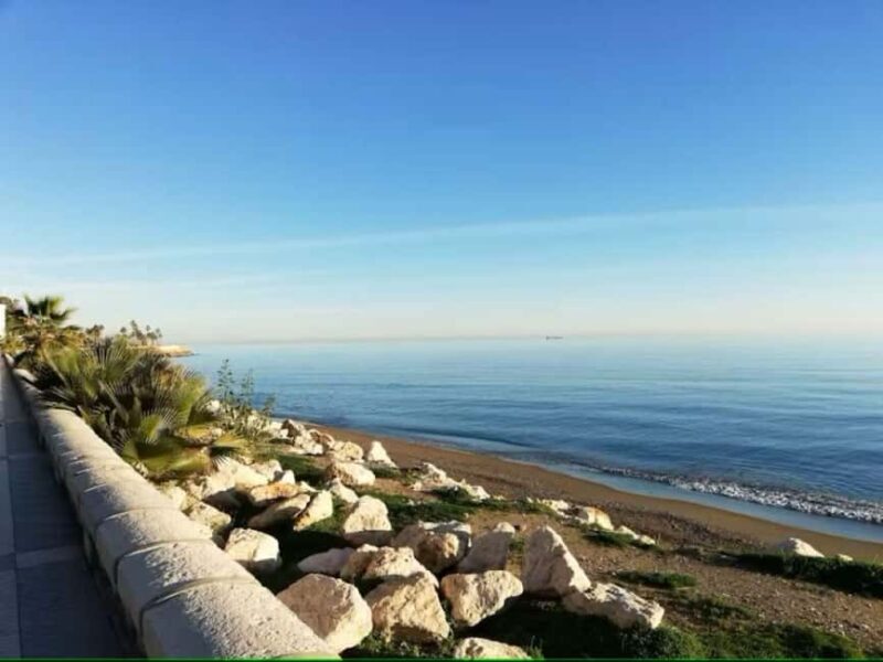 Guided tour of Malaga fishing scene with cooking workshop - The Live Espetos Demonstration