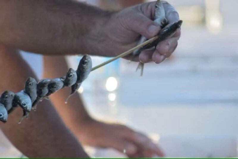 Guided tour of Malaga fishing scene with cooking workshop - Seafood Tasting and Culinary Culture