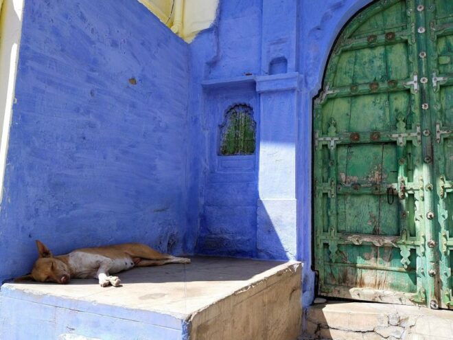 Guided Tour of Mehrangarh Fort, Memorial & Blue City Walk. - Detailed Itinerary of the Guided Tour