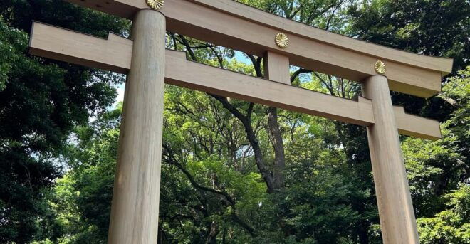Guided Tour of Meiji Jingu in Harajuku and Chauffeur Service - Included Services and Amenities