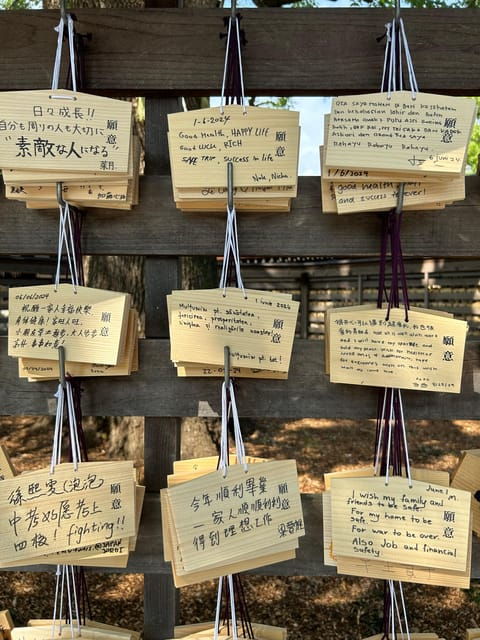 Guided Tour of Meiji Jingu in Harajuku and Chauffeur Service - Booking Your Experience
