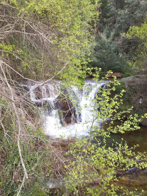 Guided Tour of Ocresa Levadas - Tour Details