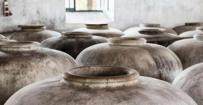 GUIDED TOUR OF OLIVE OIL MILL AND WINERY - Alvear Wineries Visit