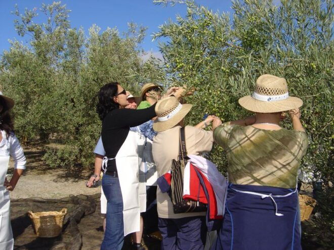 GUIDED TOUR OF OLIVE OIL MILL AND WINERY - Directions