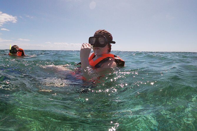 Guided Tour of Puerto Morelos Reefs with Snorkeling Experience - Who Should Consider This Tour?