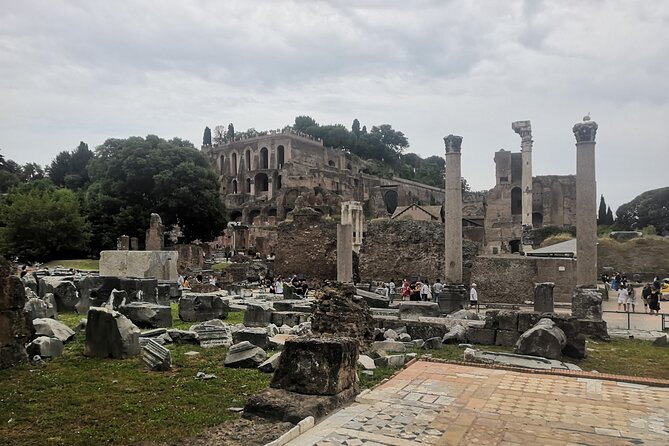 Guided Tour of Roman Forum & Palatine Hill - Tour Highlights