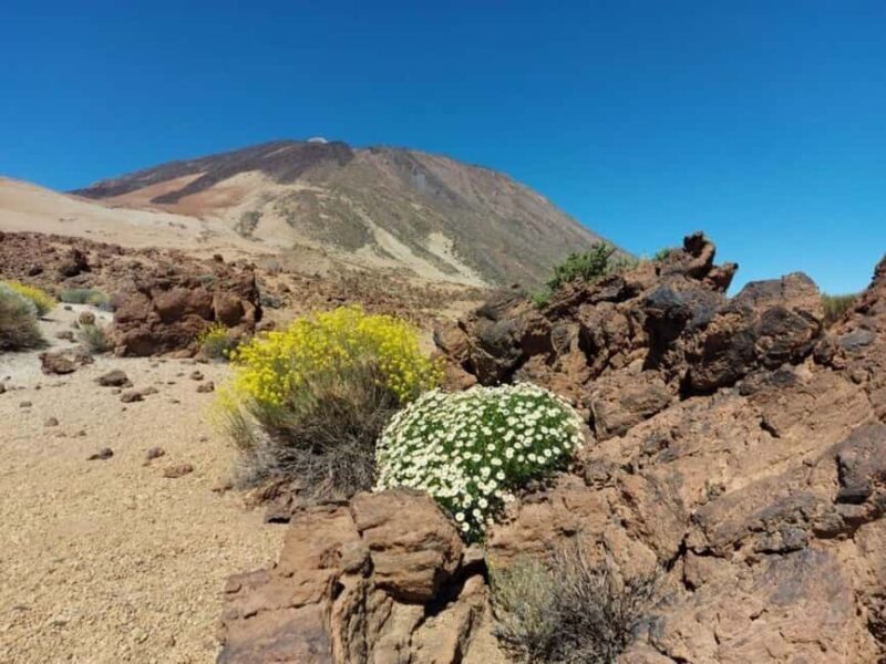 Guided tour of Roques de Garcia - Teide National Park - Introduction