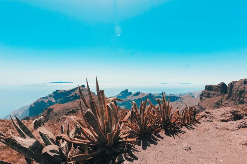Guided tour of Roques de Garcia - Teide National Park - Who Will Love This Tour?