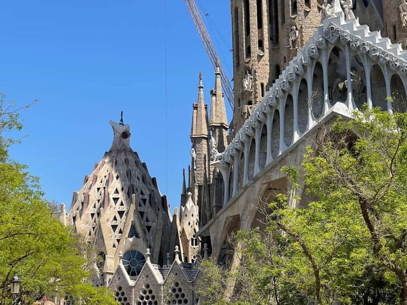 Guided Tour of Sagrada Familia - Gaudi's dream - The Experience from the Reviews
