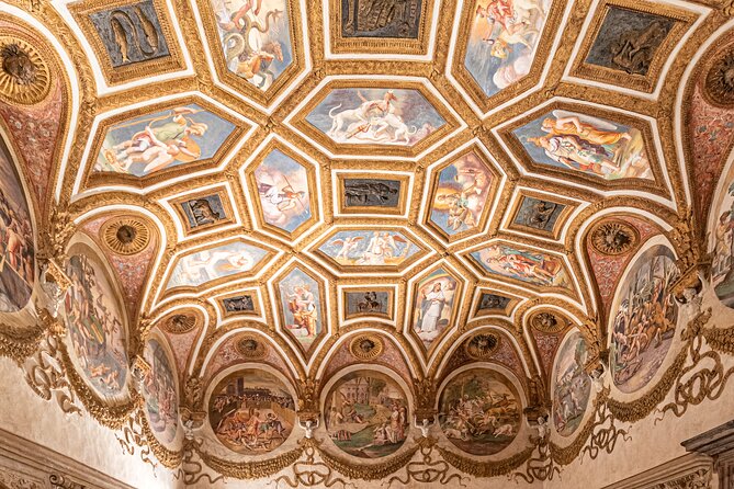 Guided Tour of Te Palace of Mantua - Common Questions