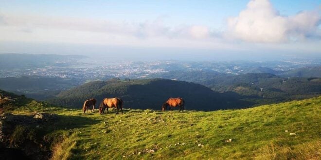 Guided Tour of the 5 Most Beautiful Towns in Basque Country - Town 5: Ciboure