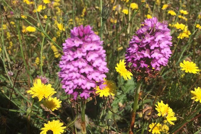 Guided Tour of the Burren on Electric Bikes - Booking Information