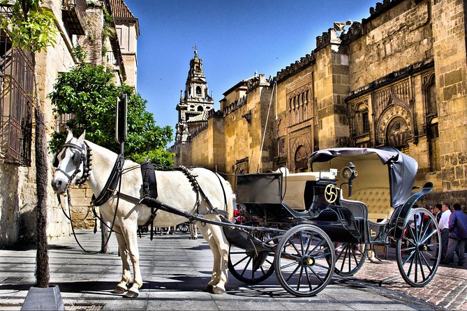 Guided Tour of the CATHEDRAL MOSQUE of Cordoba - Reviews and Ratings for the Tour