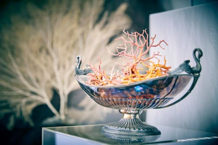 Guided Tour of the Coral Museum in Sciacca - Tour Details