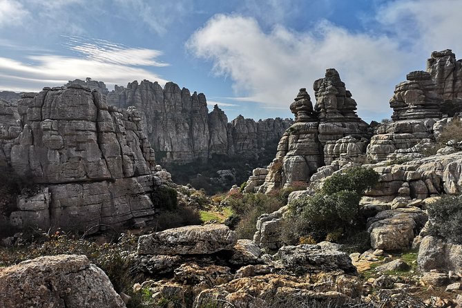 Guided Tour of the Dolmens and El Torcal - Common Questions