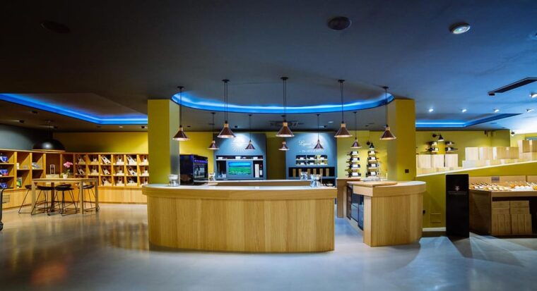 Guided Tour of the Estate & Tasting of 4 Wines - Exploring the Vineyards and Winery