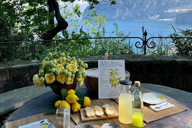 Guided Tour of the History and Tradition of the Sorrento Lemon - Traditional Cultivation Methods in Sorrento