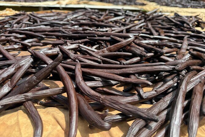 Guided tour of the island and its escapades in Tahaa by Quad / ATV - Final Thoughts