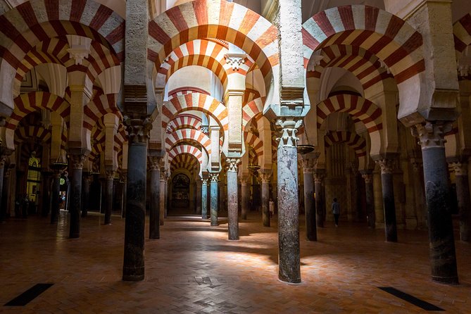 Guided Tour of the Mosque With Entrance Included - Pricing and Value