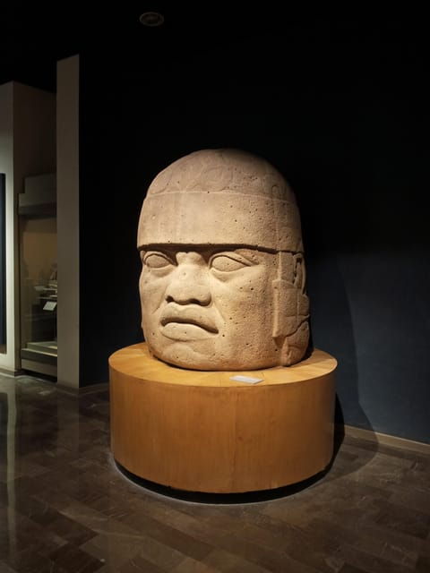 Guided Tour of the Museum of Anthropology - Tour Duration and Group Size