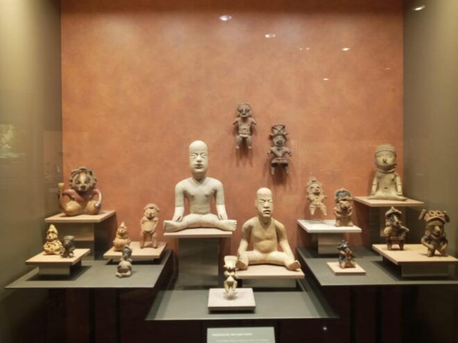 Guided Tour of the Museum of Anthropology - Specialized Guide Expertise