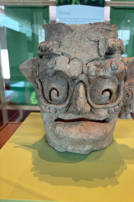 Guided Tour of the Museum of Anthropology - Legacy of Mexicos Ancestors