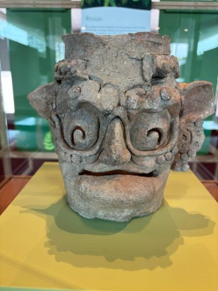 Guided Tour of the Museum of Anthropology - Booking and Cancellation Policy