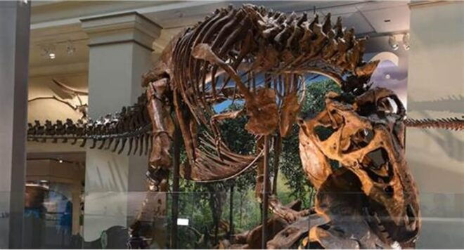 Guided Tour of The Natural History Museum - Booking and Availability