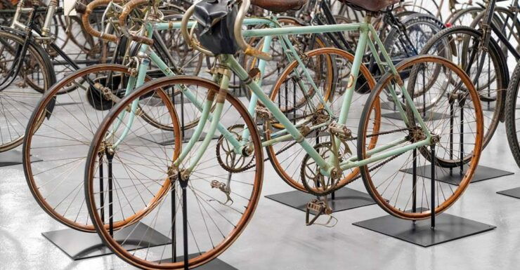 Guided Tour of the Study Collections and Museum Entrance - Good To Know