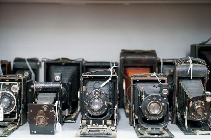 Guided Tour of the Study Collections and Museum Entrance - Tour Details