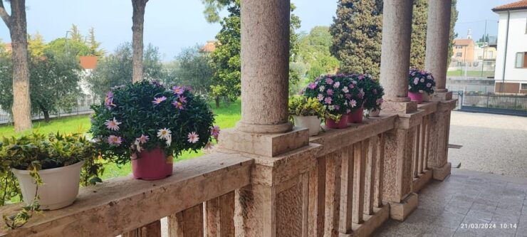 Guided Tour of the Winery With Wine Tasting - Pricing and Reservations