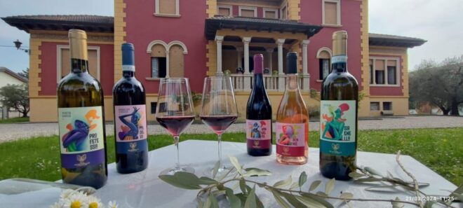 Guided Tour of the Winery With Wine Tasting - Experience Details