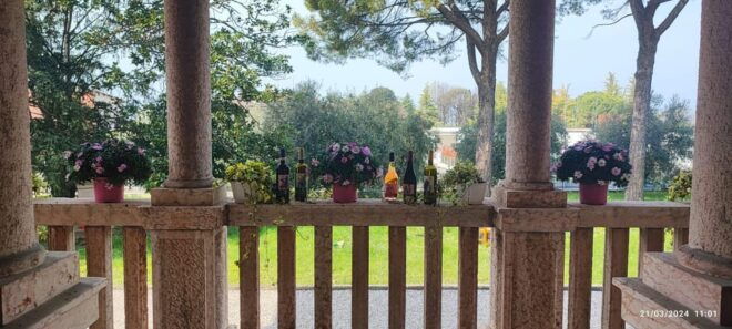 Guided Tour of the Winery With Wine Tasting - Wine Tasting