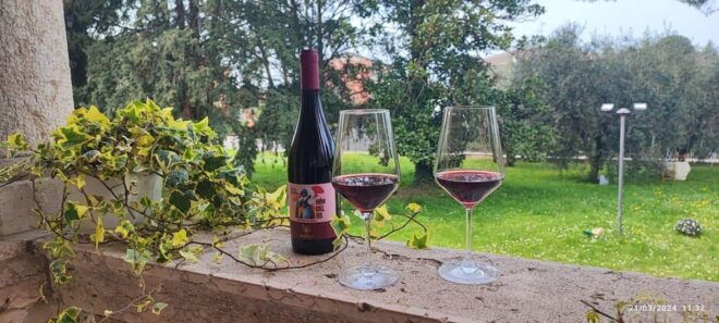 Guided Tour of the Winery With Wine Tasting - What to Bring