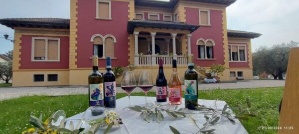 Guided Tour of the Winery With Wine Tasting - Tour Duration