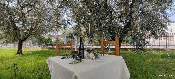 Guided Tour of the Winery With Wine Tasting - Available Languages