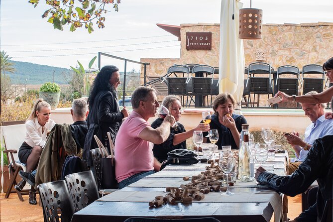 Guided Tour of the Winery With Wine Tasting, Vineyard and Much More! - What to Expect During the Tour