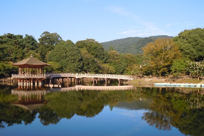 Guided Tour of Todai Ji and Nara Park - Inclusions