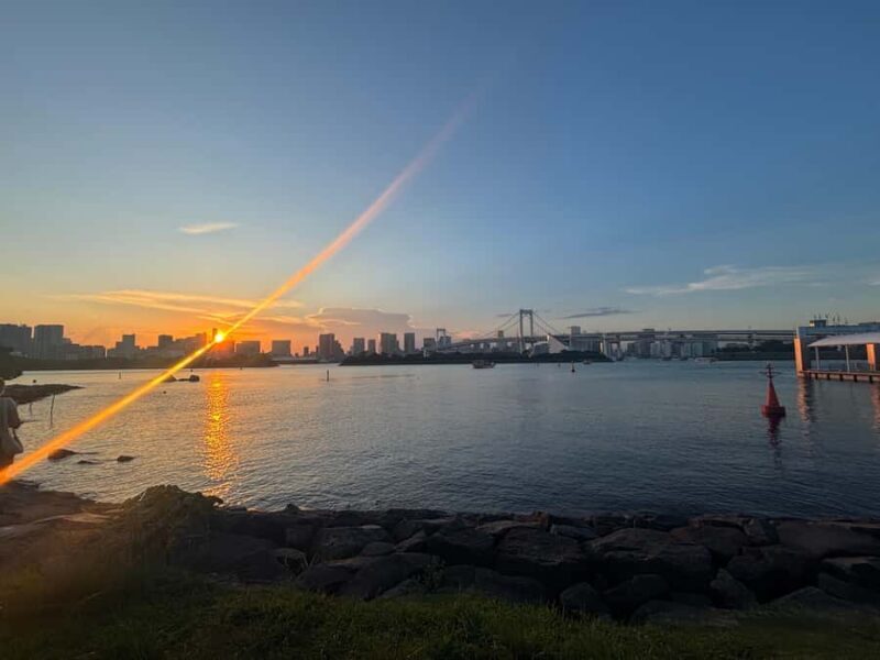 Guided tour of Tokyo: Ginza, Imperial Palace Gardens, and Odaiba - Price and Value