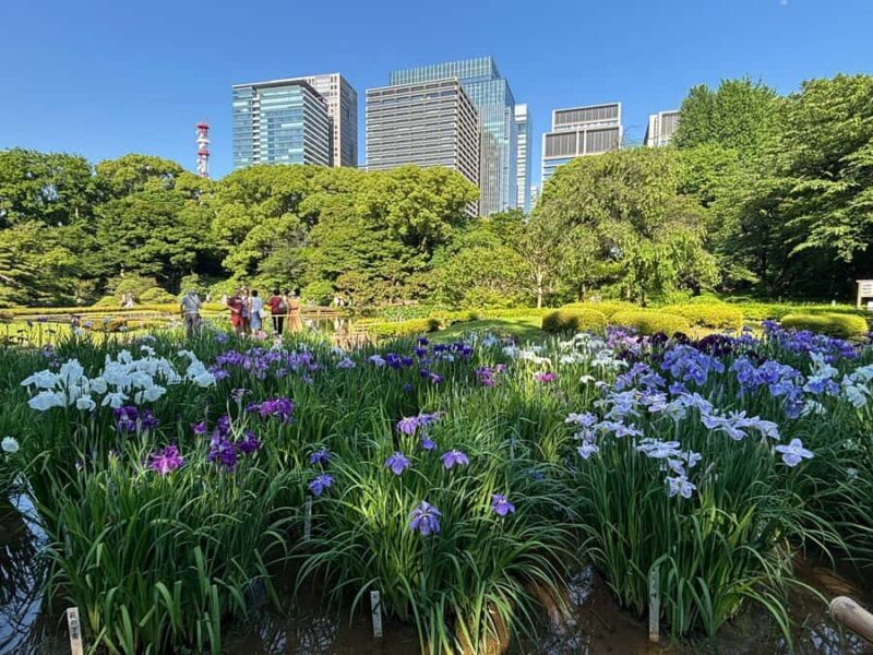 Guided tour of Tokyo: Ginza, Imperial Palace Gardens, and Odaiba - The Sum Up