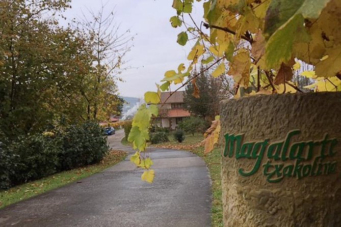 Guided Tour of Txakoli Wine Tasting and Tasting of Wine and Typical Products - Txakoli Wine Tasting Experience