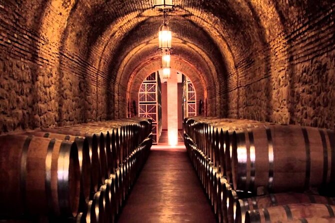Guided Tour of Txakoli Wine Tasting and Tasting of Wine and Typical Products - Common Questions