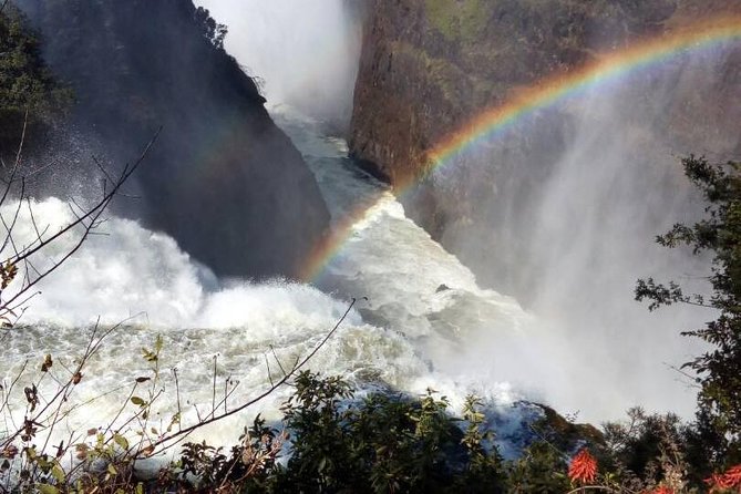 Guided Tour Of Victoria Falls - Customer Reviews