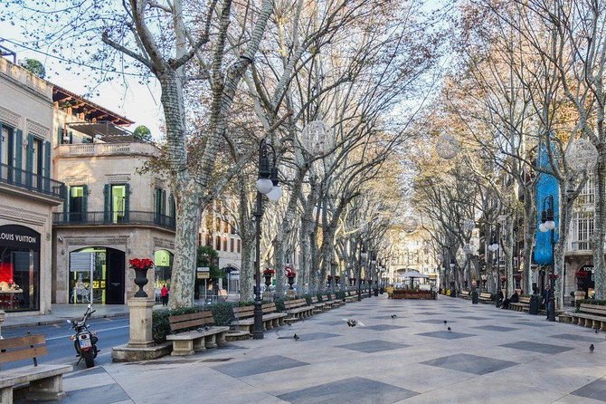 Guided Tour: Palma Old Town and Cathedral Visit - Tour Location