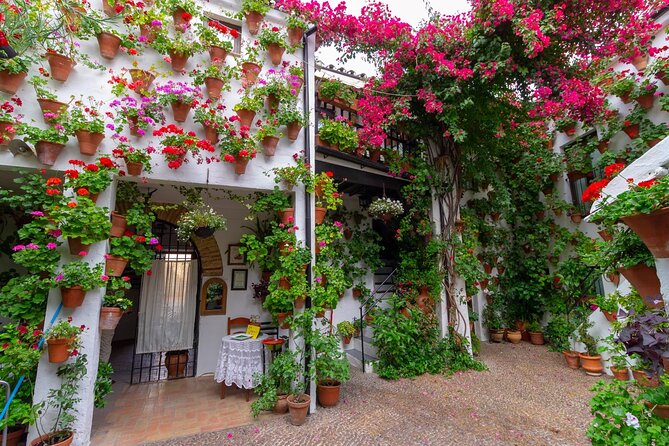Guided Tour PATIOS of Cordoba - Whats Included