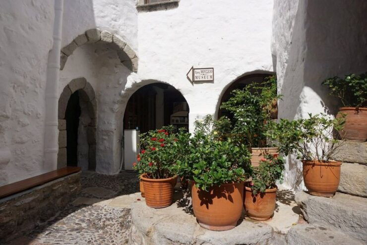 Guided Tour Patmos to Explore the Most Religious Highlights - Driver Information