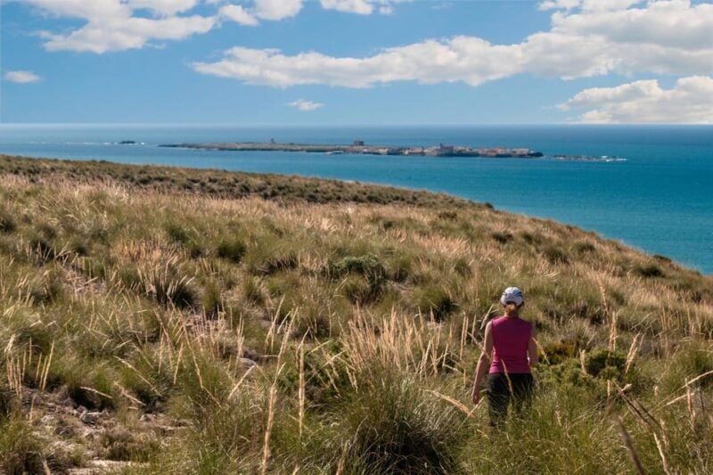 Guided Tour Santa Pola Bonita, Half Day With Transfer and Snack Included. - Itinerary Highlights