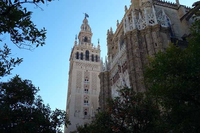 Guided Tour Sevilla Cathedral - Pricing and Value